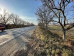 photo_low181277