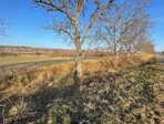 photo_low181279
