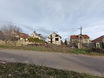 photo_low249374