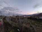 photo_low250588