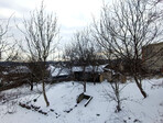 photo_low251544