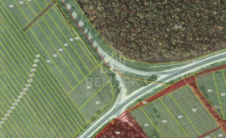 photo240093