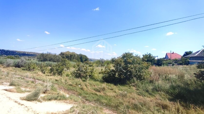 photo242060
