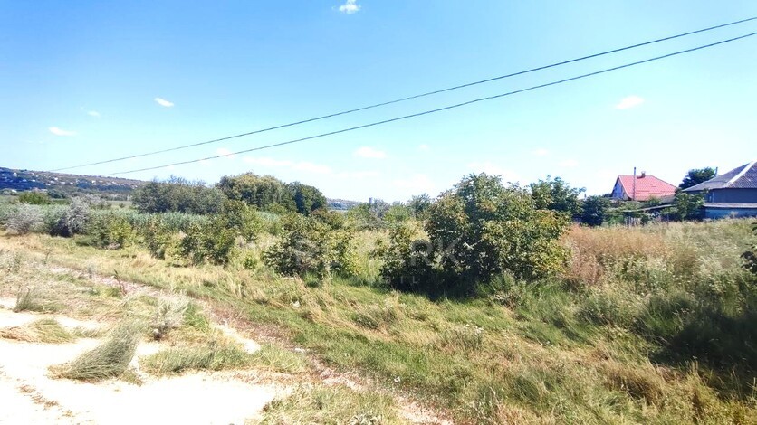 photo242064