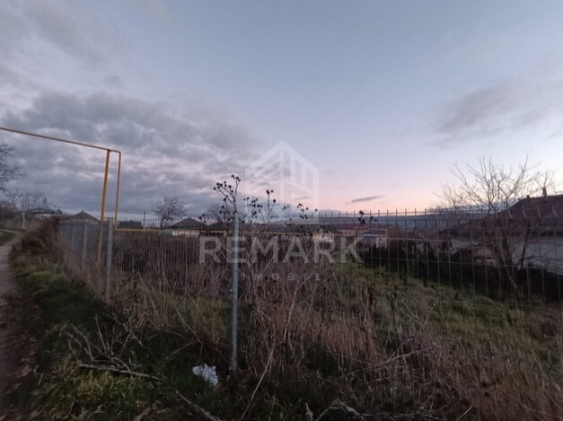 photo250585