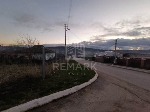 photo250586